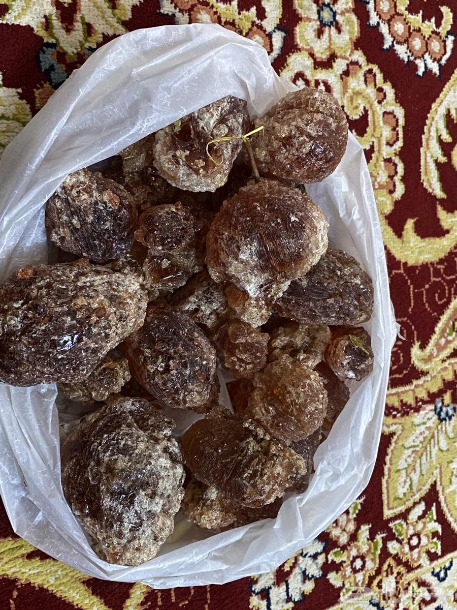 صمغ عربي64661137146241111