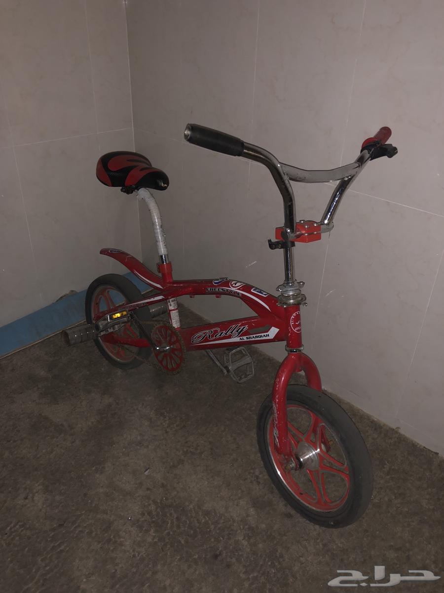 Cobra Bicycle64663055635329110