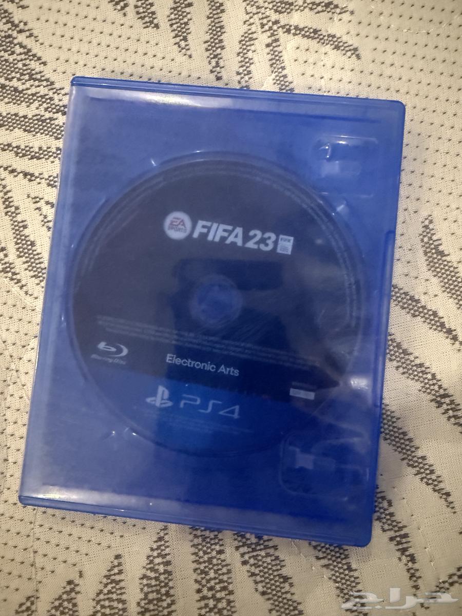 وليد الشريف64661378444802110