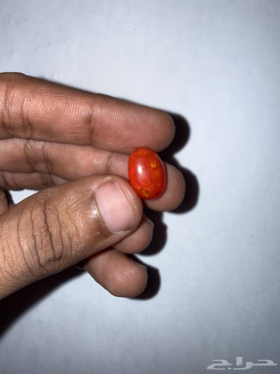 احجار بولدر اوبال استرالي و اوبال اثيوبي64532100065155114