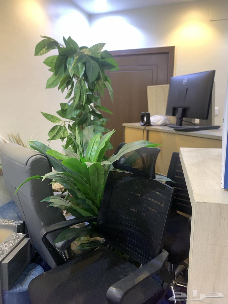 اثاث مكتبي كامل ويوجد اجهزة كمبيوتر 264659292229633114
