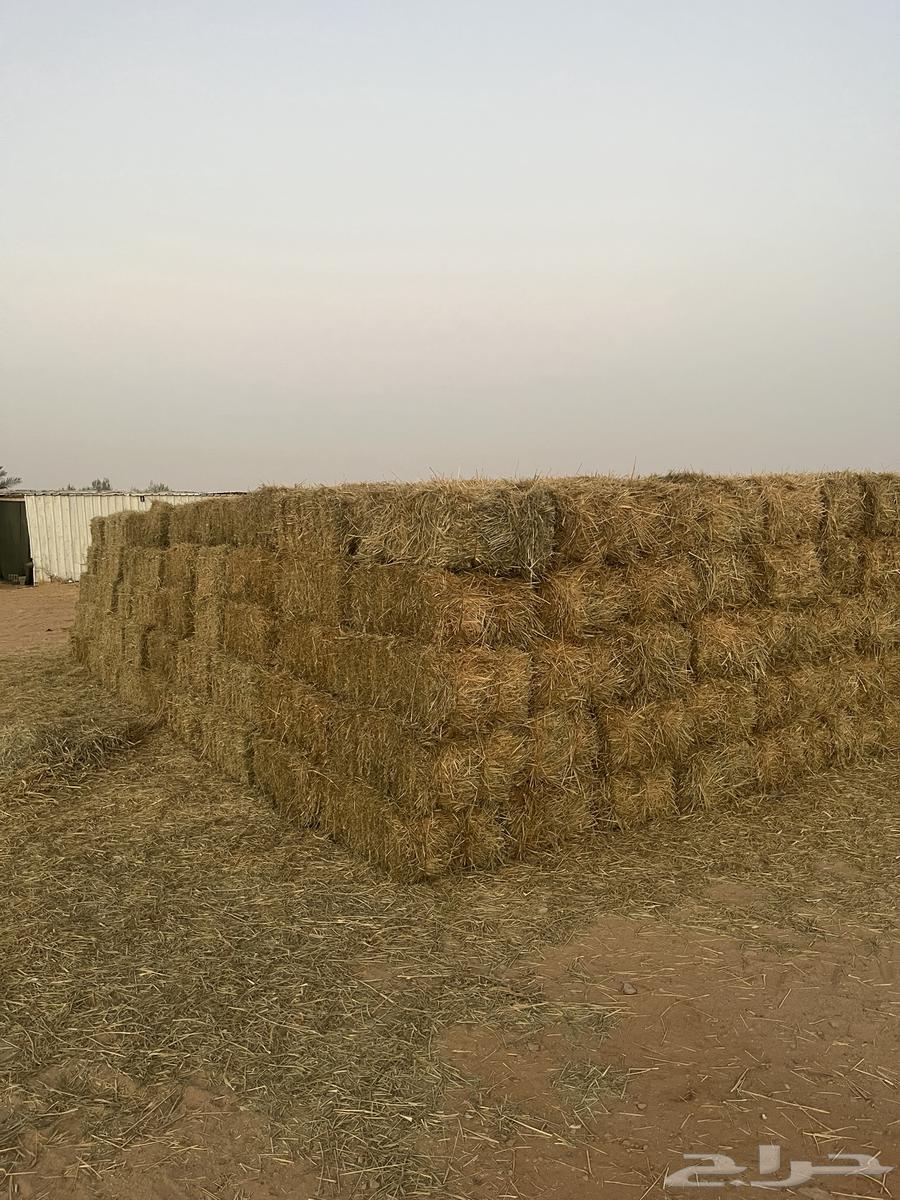 اعلاف بلوبنك جديد64467101862147111