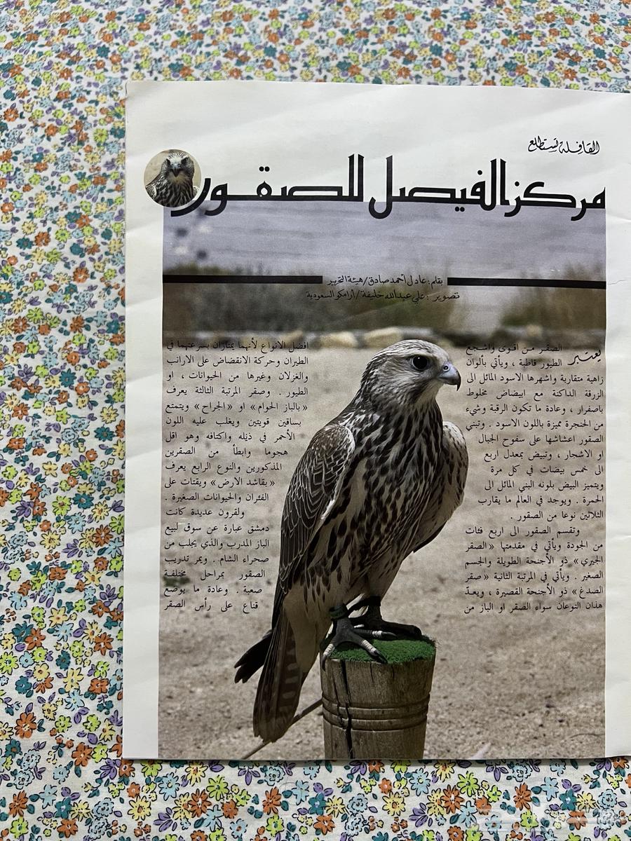 مجلة القافلة عام 1410 بها تقرير عن الصقور وزراعة القهوة64653123536641112