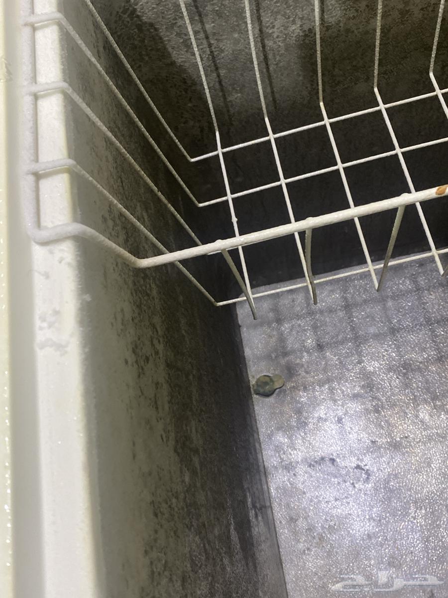 Floor Freezer64660126373379114