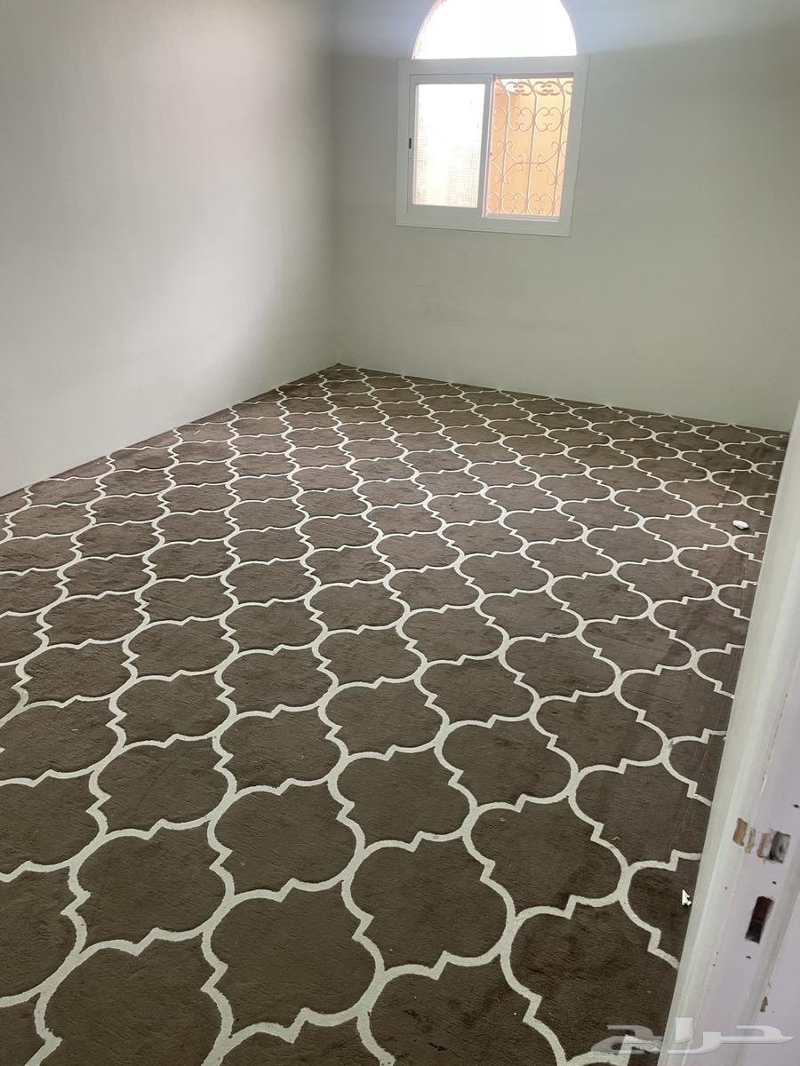 Carpet Size 6 × 3.364660450279169111