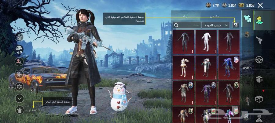 حساب ببجي64658387686018114