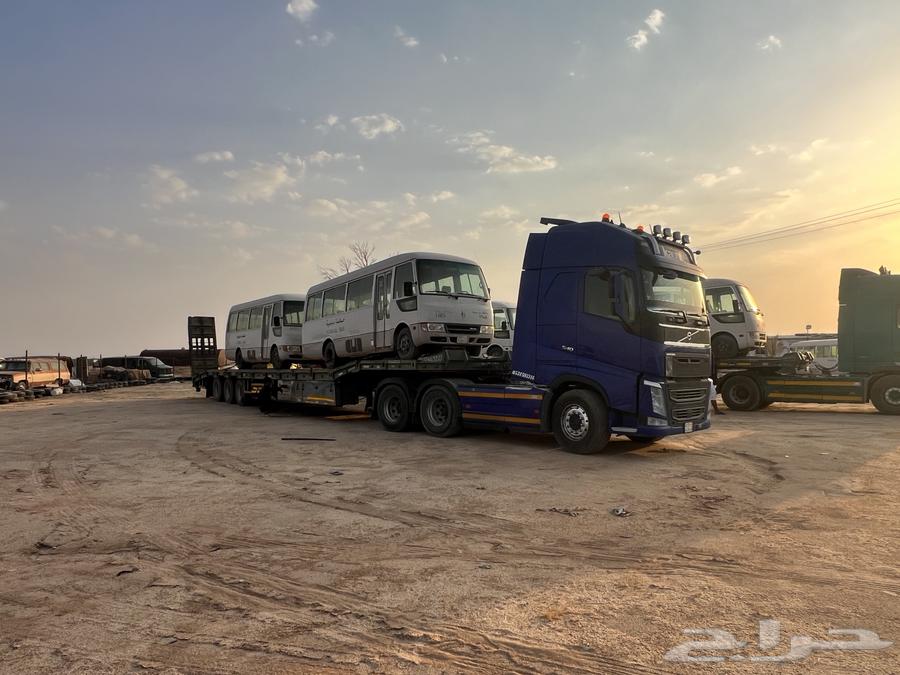 لوبد القصيم64167028913539110