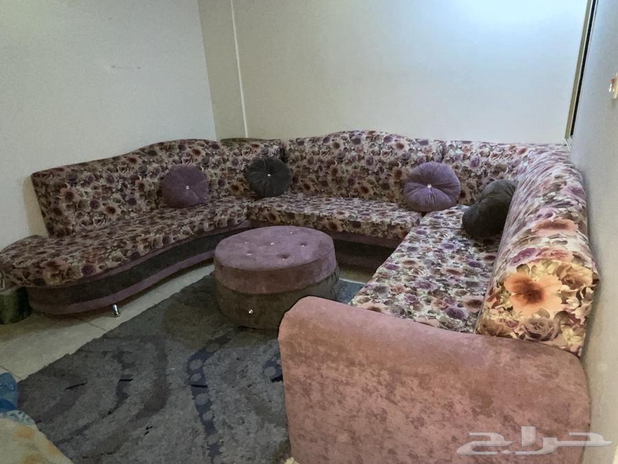 كنب للبيع64657350391041110