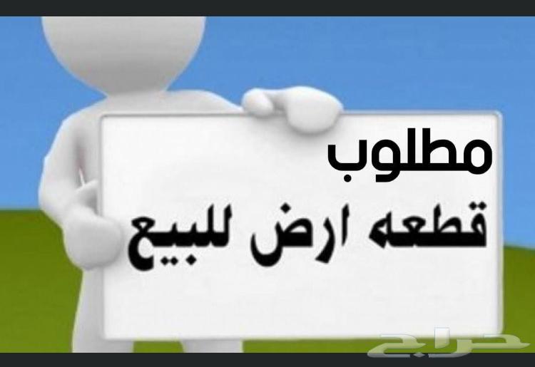 مطلوب من المالك مباشر64149422124802110
