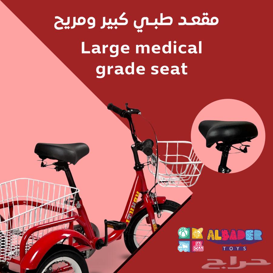 12-Inch Tricycle with Rear Basket Design – Distinctive Tricycle with Rear Basket64674872725378113