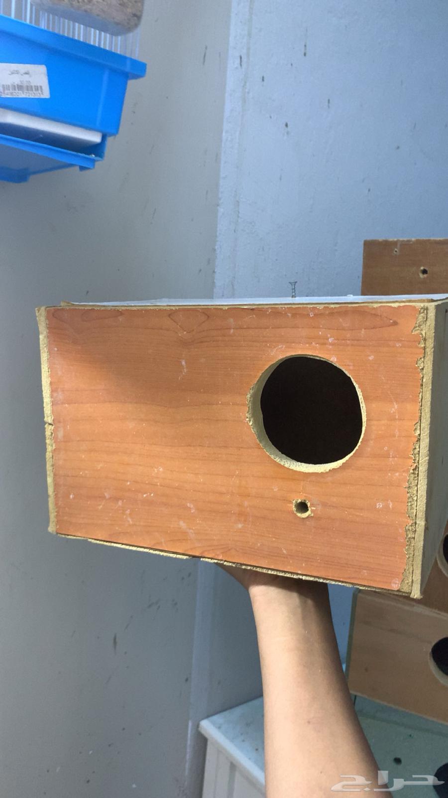 Clean and Modest Used Bed Sheets64675829453058111