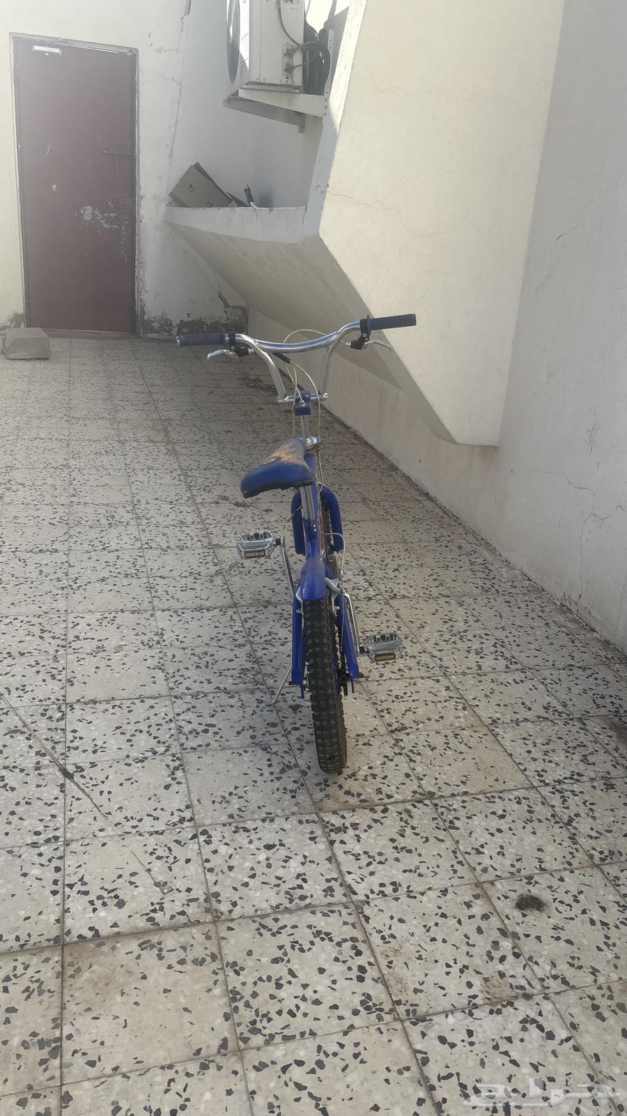 سيكل كوبرا مقاس1664671786565635110