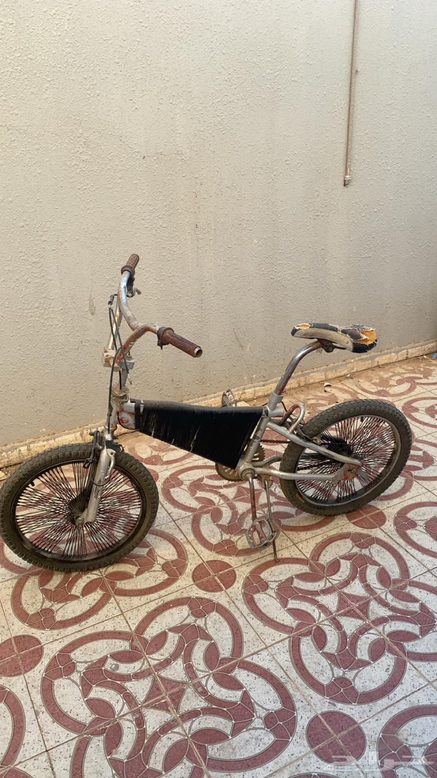 سيكل كوبرا 1664673024811523110