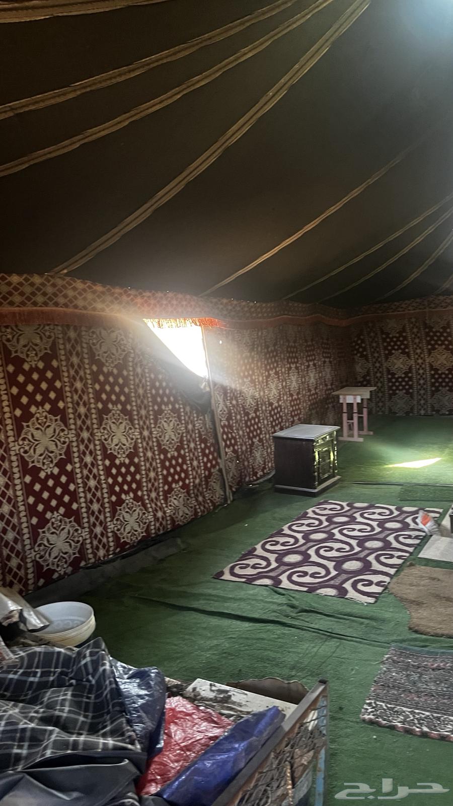 بيت شعر اخو الجديد 6 1164668056519042112