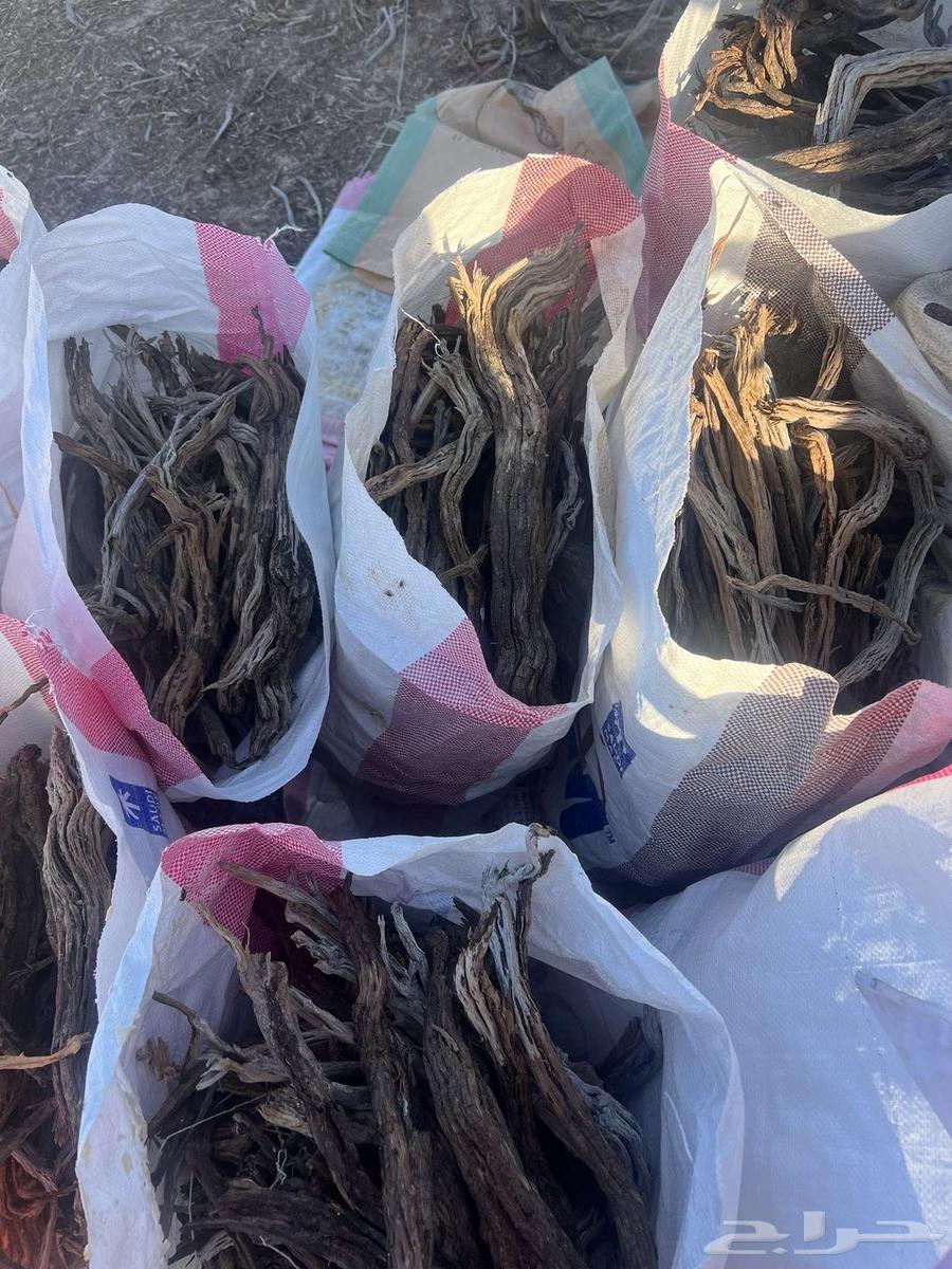 رمث خياش للبيع مستورد64670898115714112