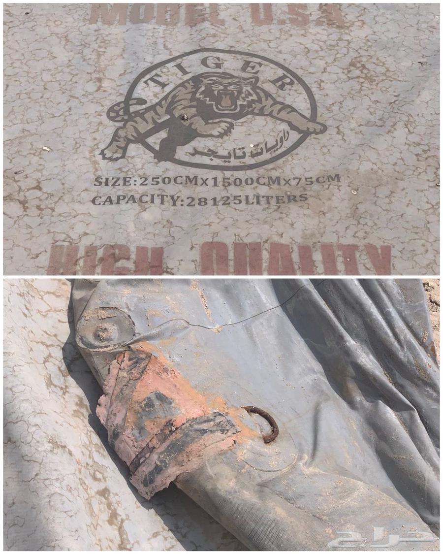 راوية ماء ( قربة ) تايجر الامريكية64676033244802110