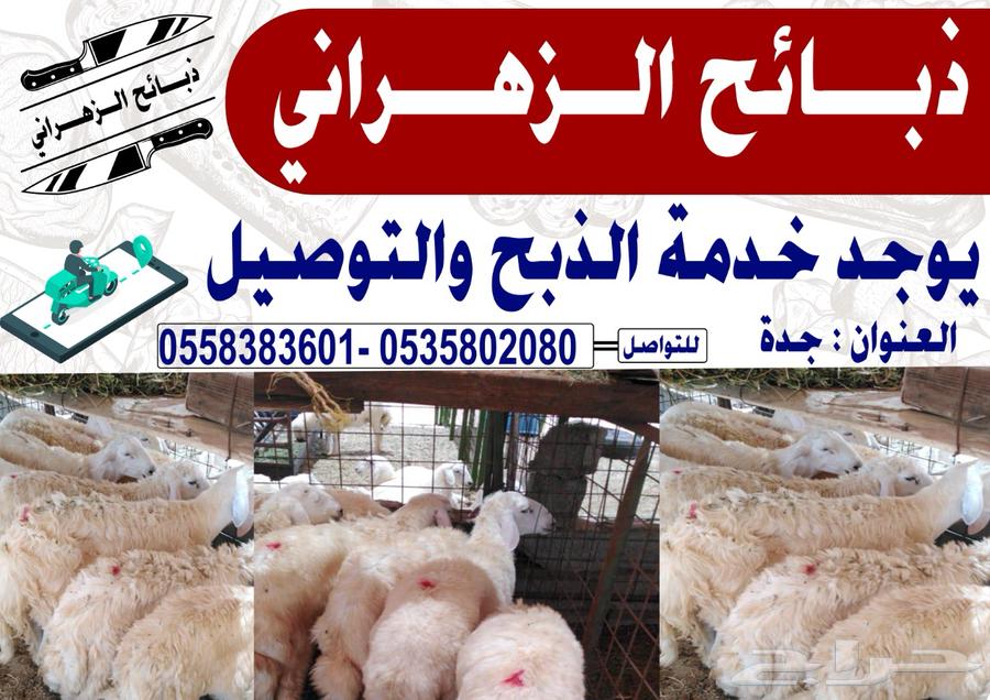 للبيع ذبايح حريات64666595846658110