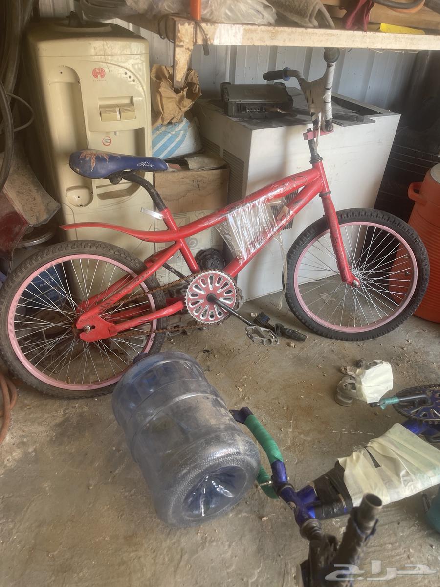 سيكل مقاس 20 شرط جديد64668518244865114