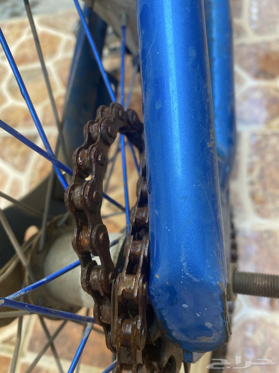 سيكل كوبرا للبيع64671074078977113