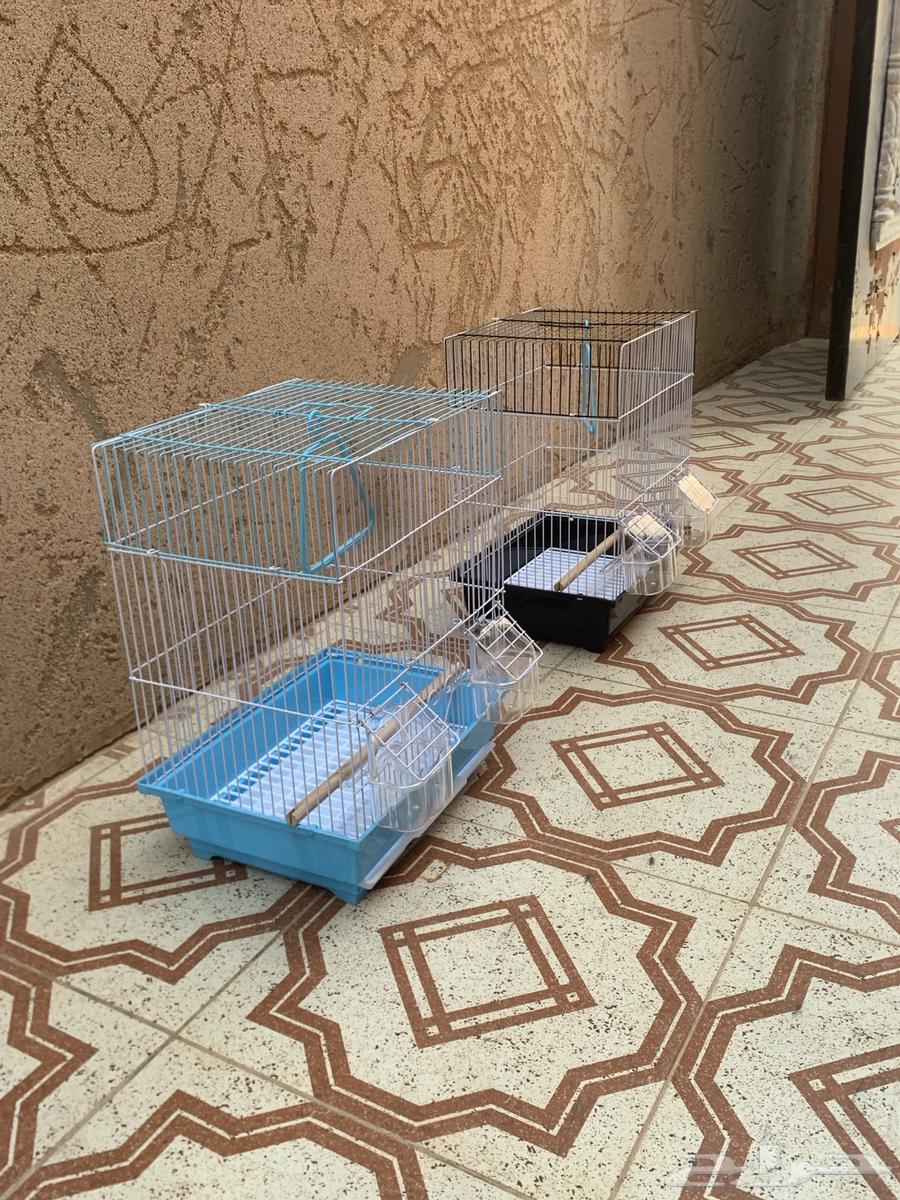 شبك طيور زينه64667933272065111