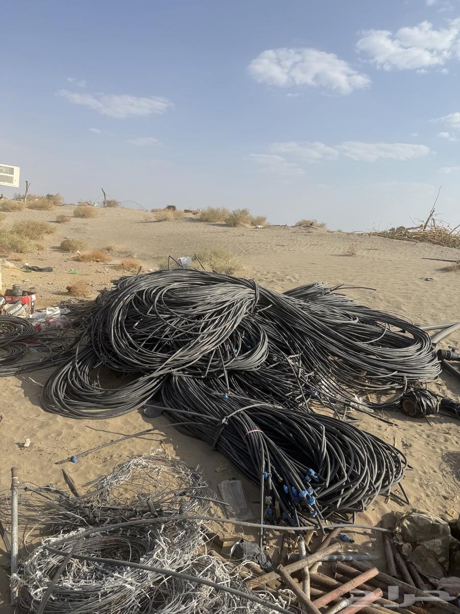 ليات جي آر تنقيط نضيفه جعبه بيشه64670208909825110