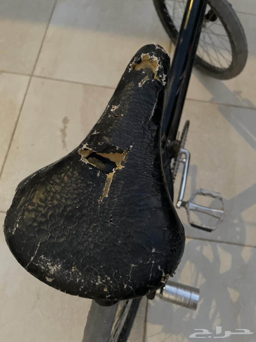 سيكل كوبرا مقاس 2064672896700417111