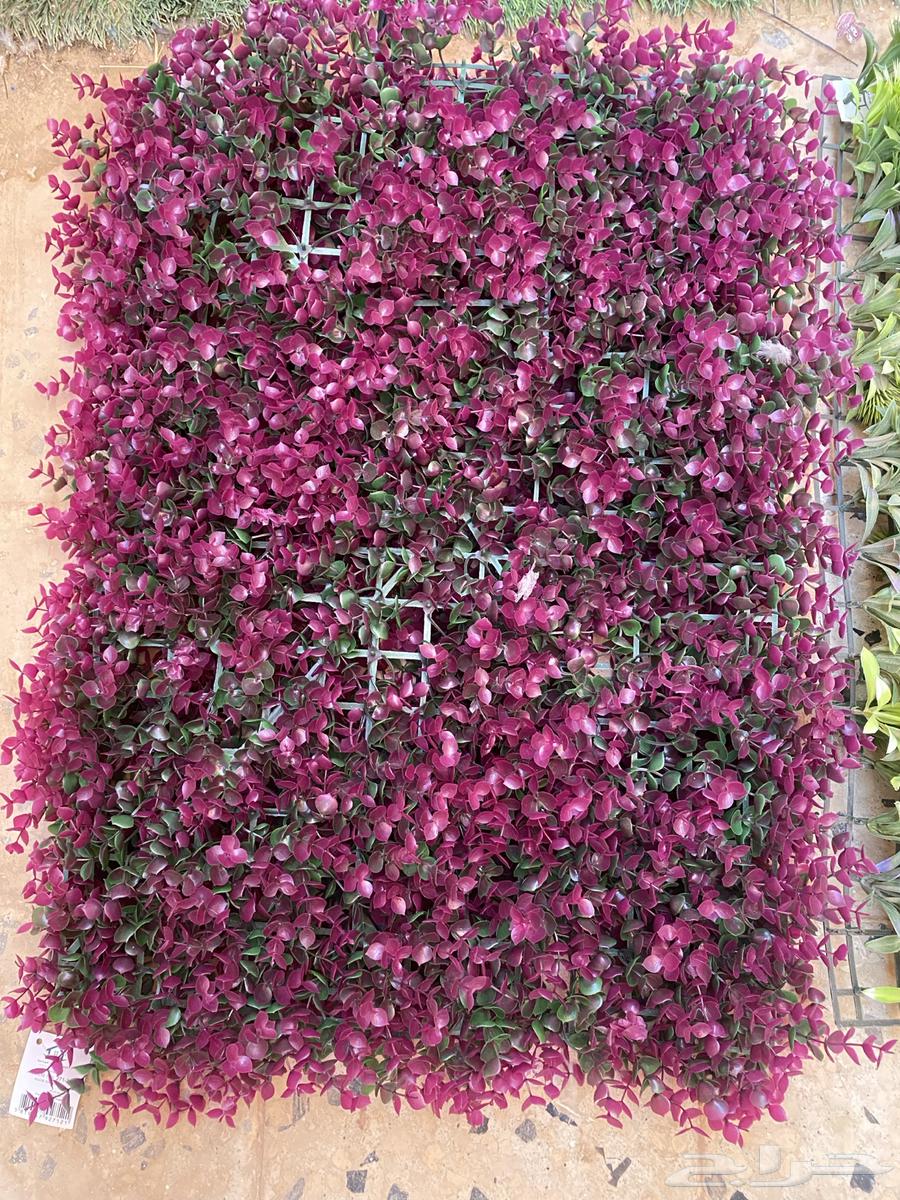 غساله للبيع توشيبا   عشب جداري64550902916994114