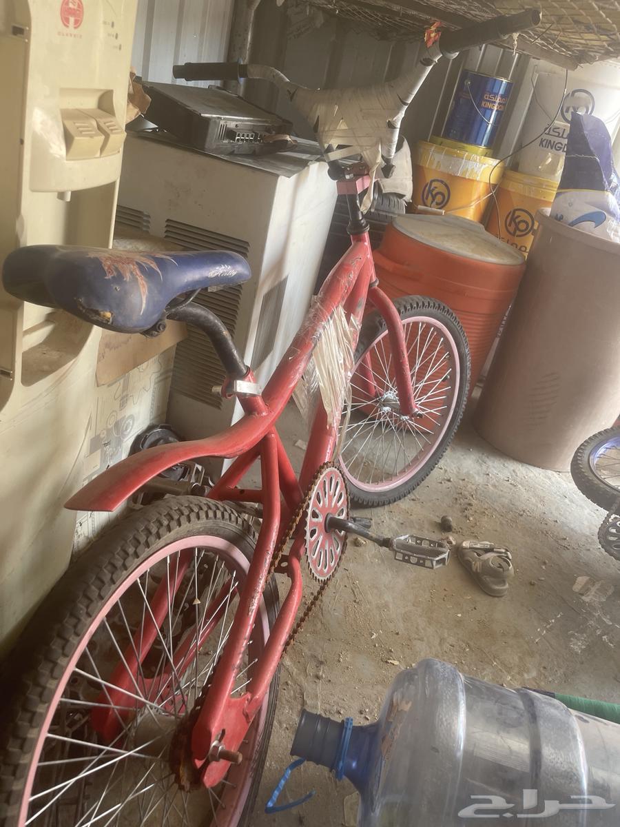 سيكل مقاس 20 شرط جديد64668518244865112