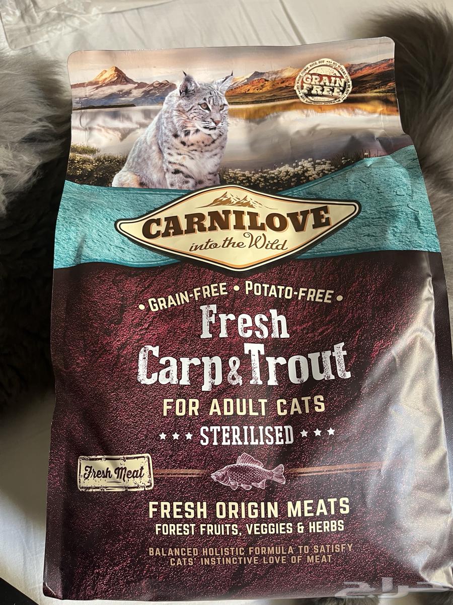 أكل قطط المعقمه64673811133313110