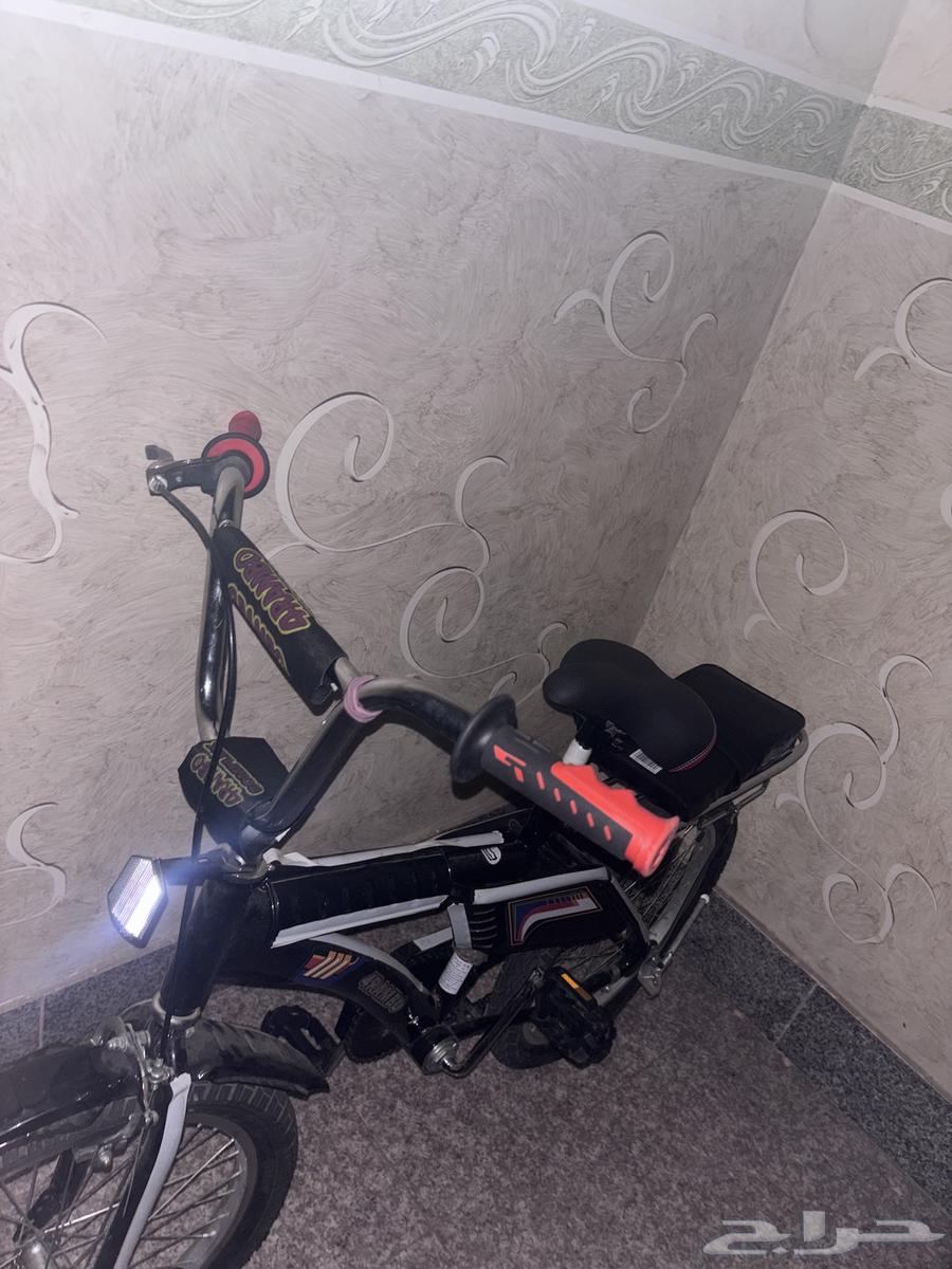 سيكل رامبو جديد استخدام 15 يوم64675919324418110