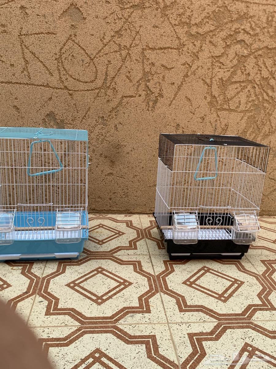 شبك طيور زينه64667933272065110