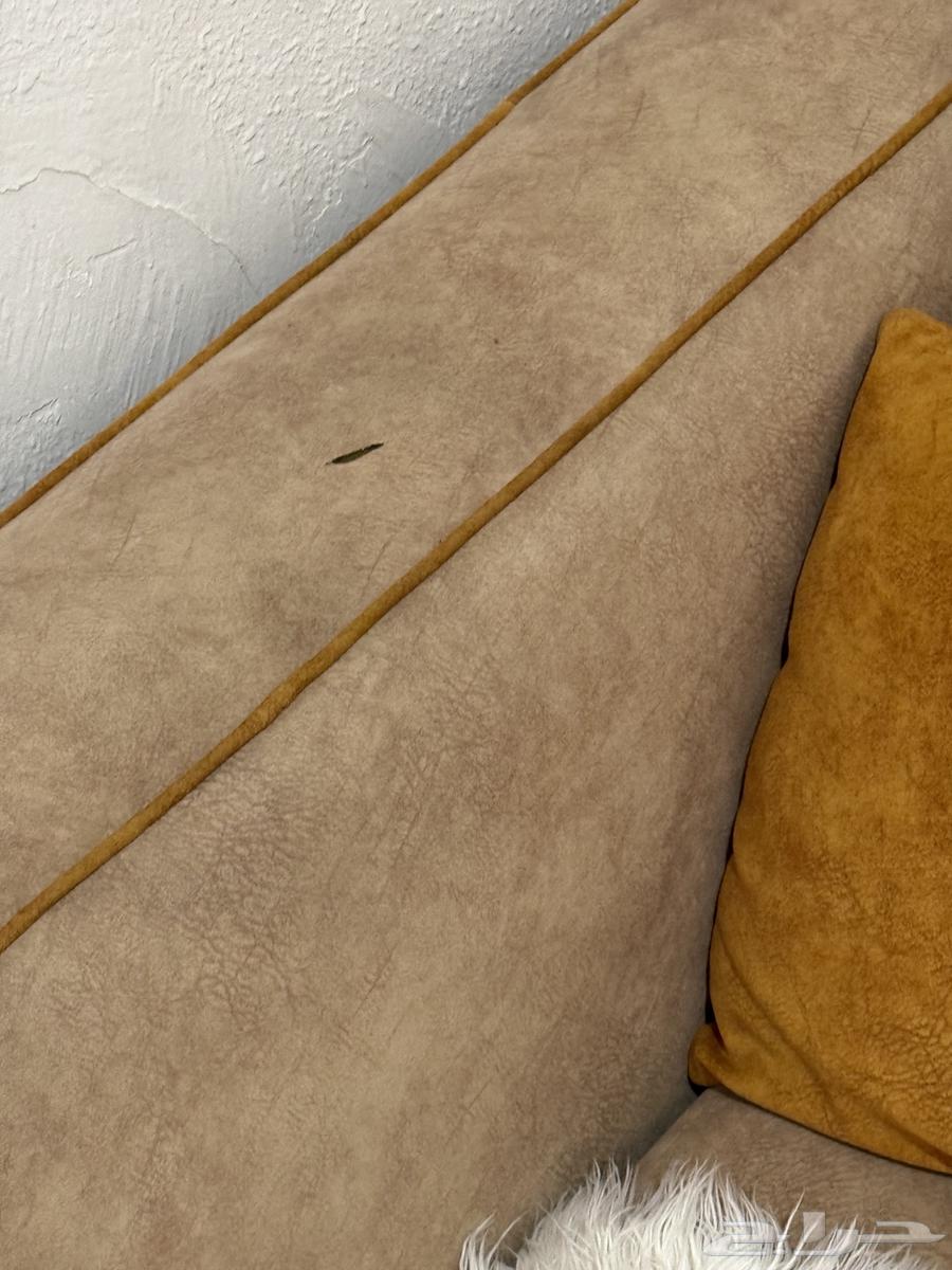 كنب مستعمل بشكل L64674453669633113