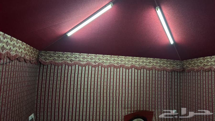 خيمه بمشي للبيع64674351522177110