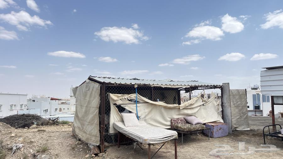 شبك بايكة للبيع64673913502339112