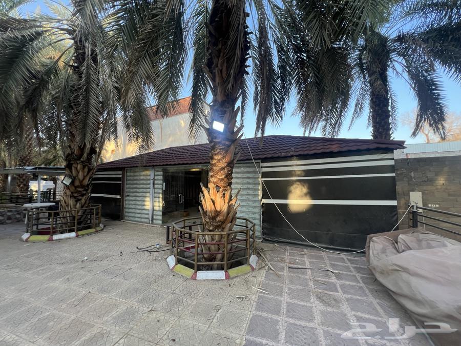 خيمة مجلس للبيع64666558224131111