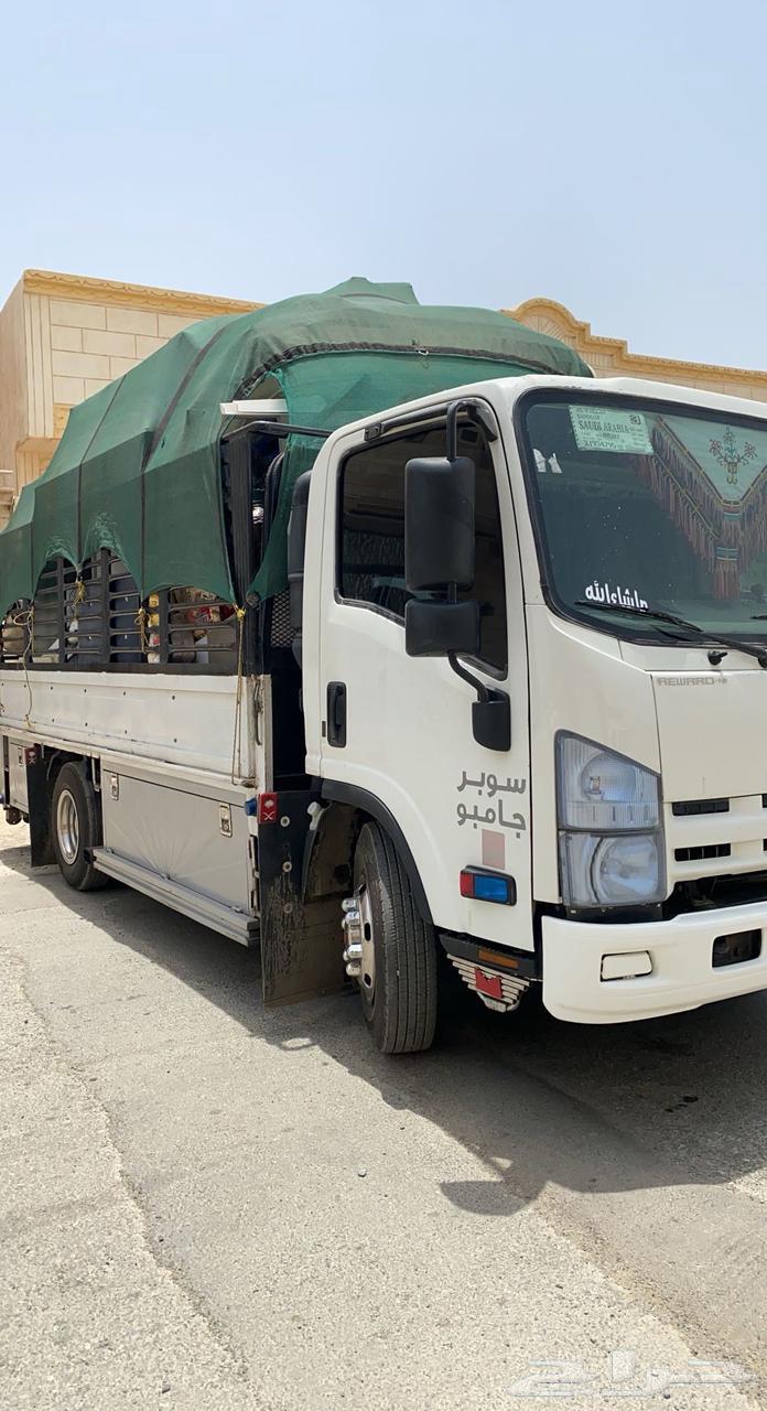 دينا مشاوير64167856301187110