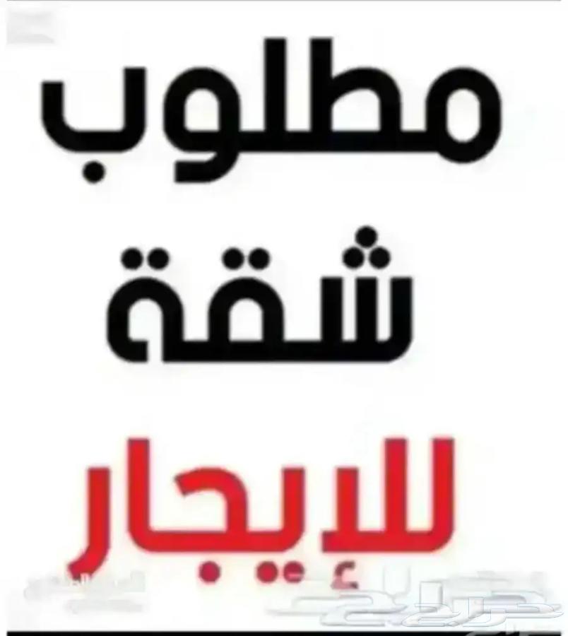 مطلوب شفة للايجار شهري بالرياض مكيفات ومطبخ راكب64150141622531110