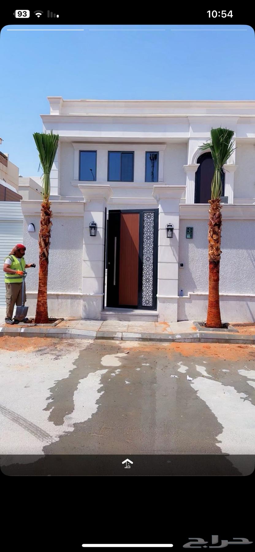 نخل واشنطن64168047768705110