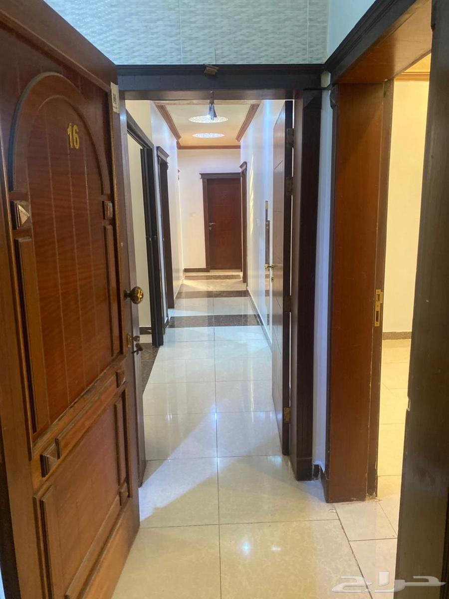 شقة للإيجار