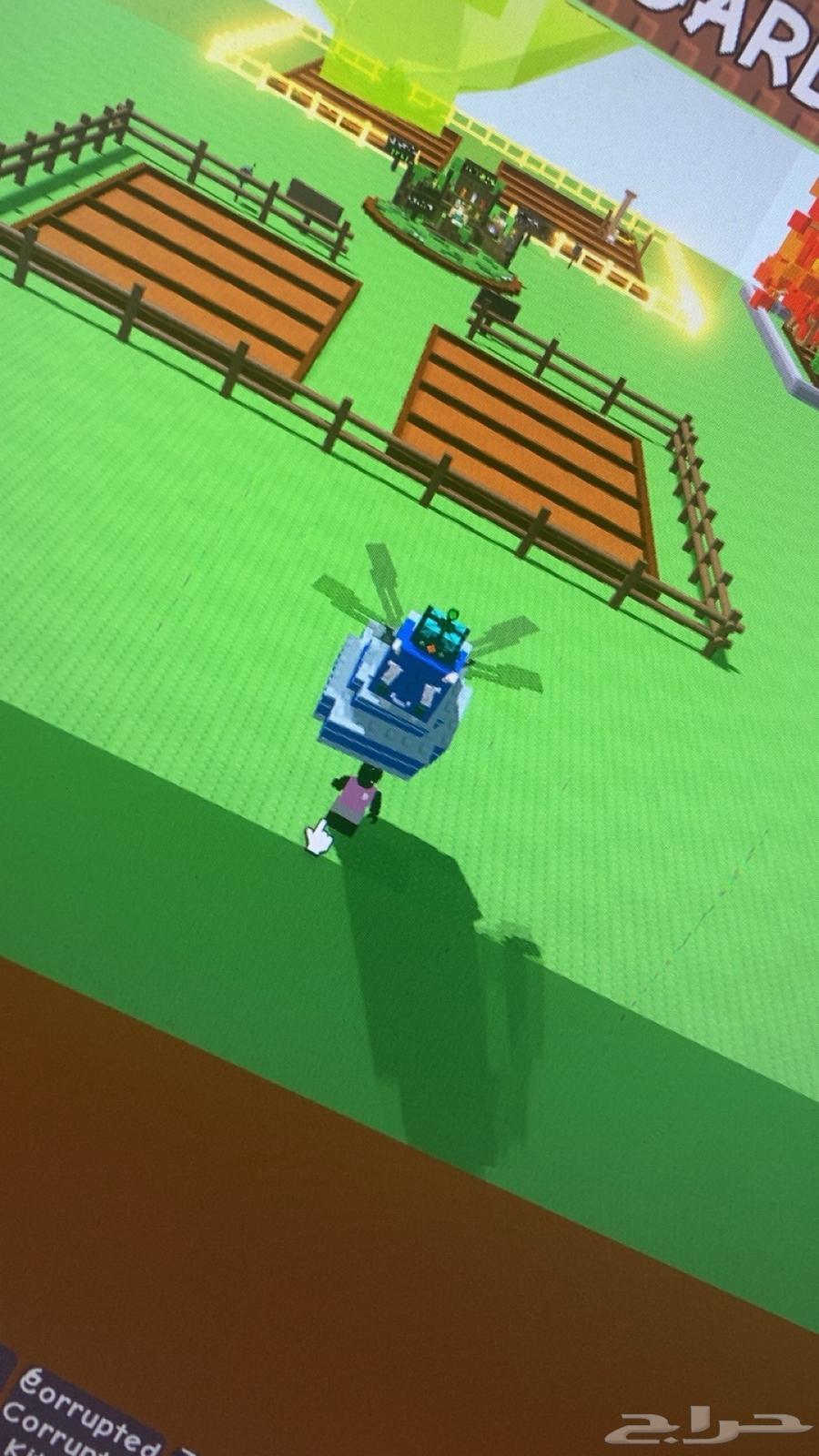 حيوانات قرو اقاردن للبيع كلها مطوره64682599135362111