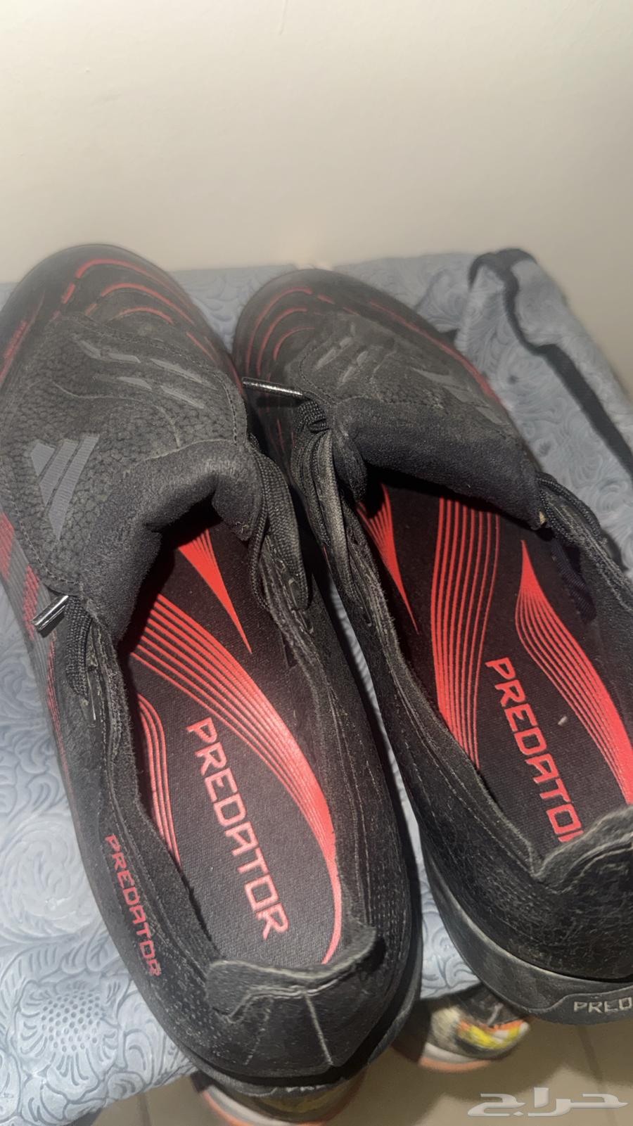 جزمه اديداس بريدتور اصلي مقاس 4264678526534531110