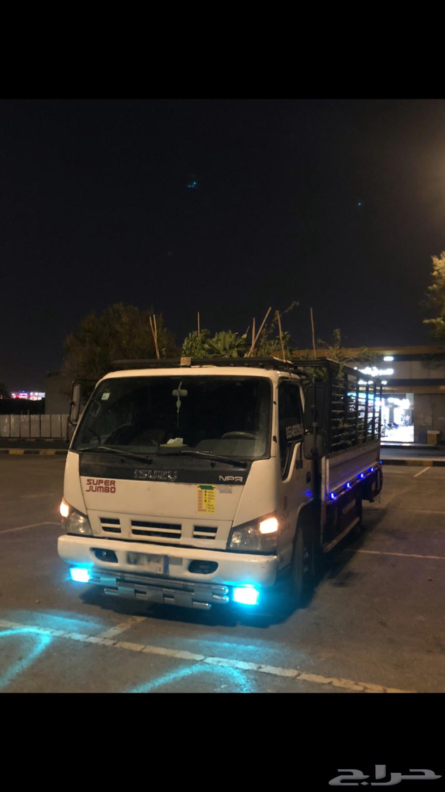 دينه مشاوير64169145742337113