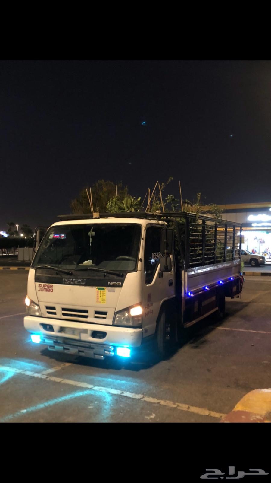 دينه مشاوير64169145742337111