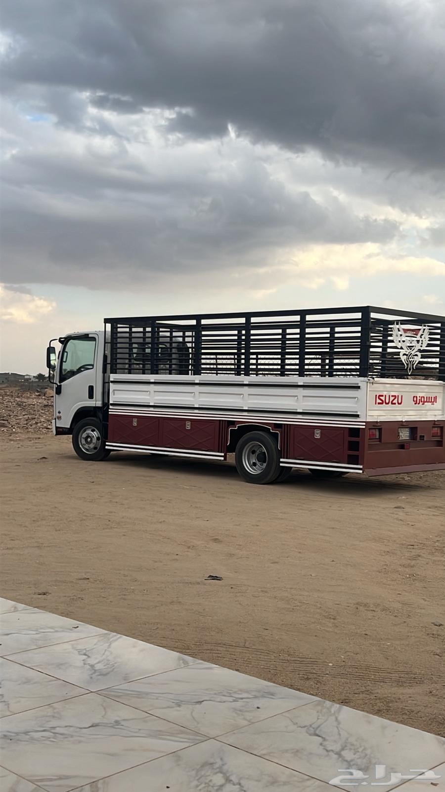 دينا شبك 5 متر64168917026049110