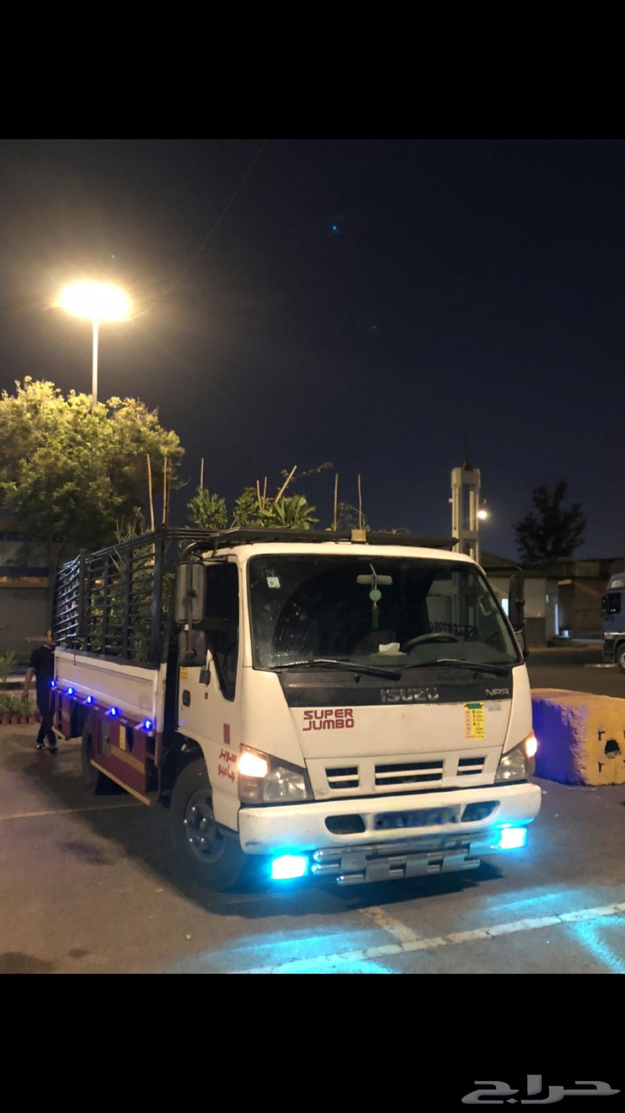 دينه مشاوير64169145742337112