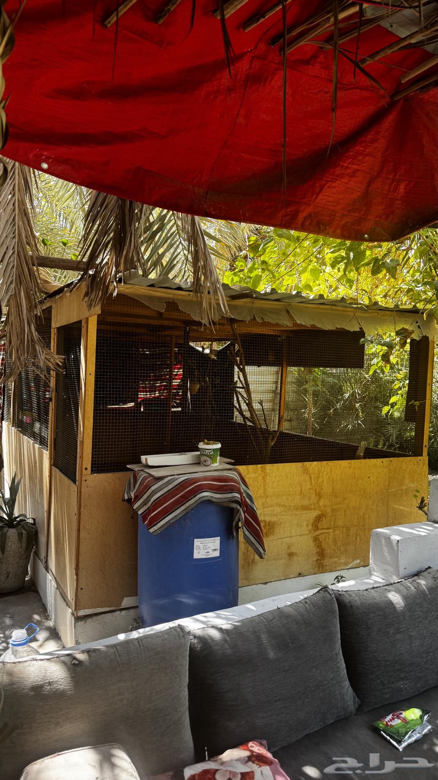 حضيرة للبيع64679735310211112