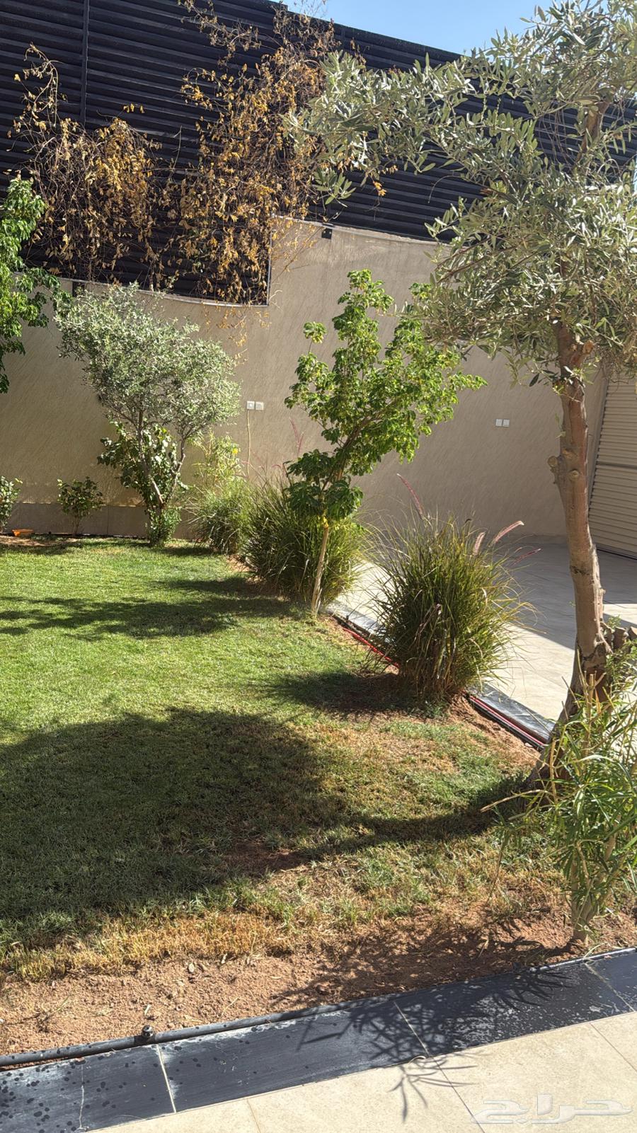 Nursery and landscape design64168681702402110