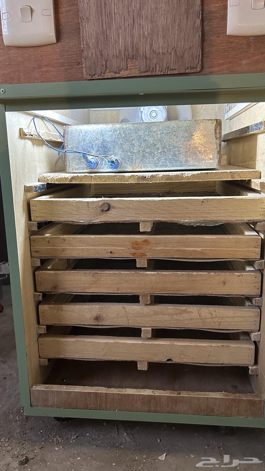 فقاصه عاديه64679524083203111