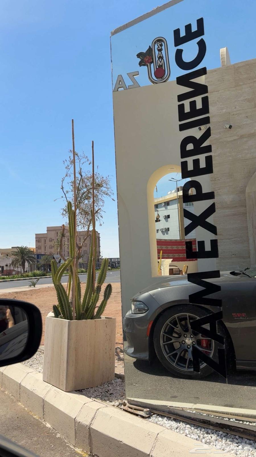 توصيل جدة -الطائف- المدينه64168917455873110