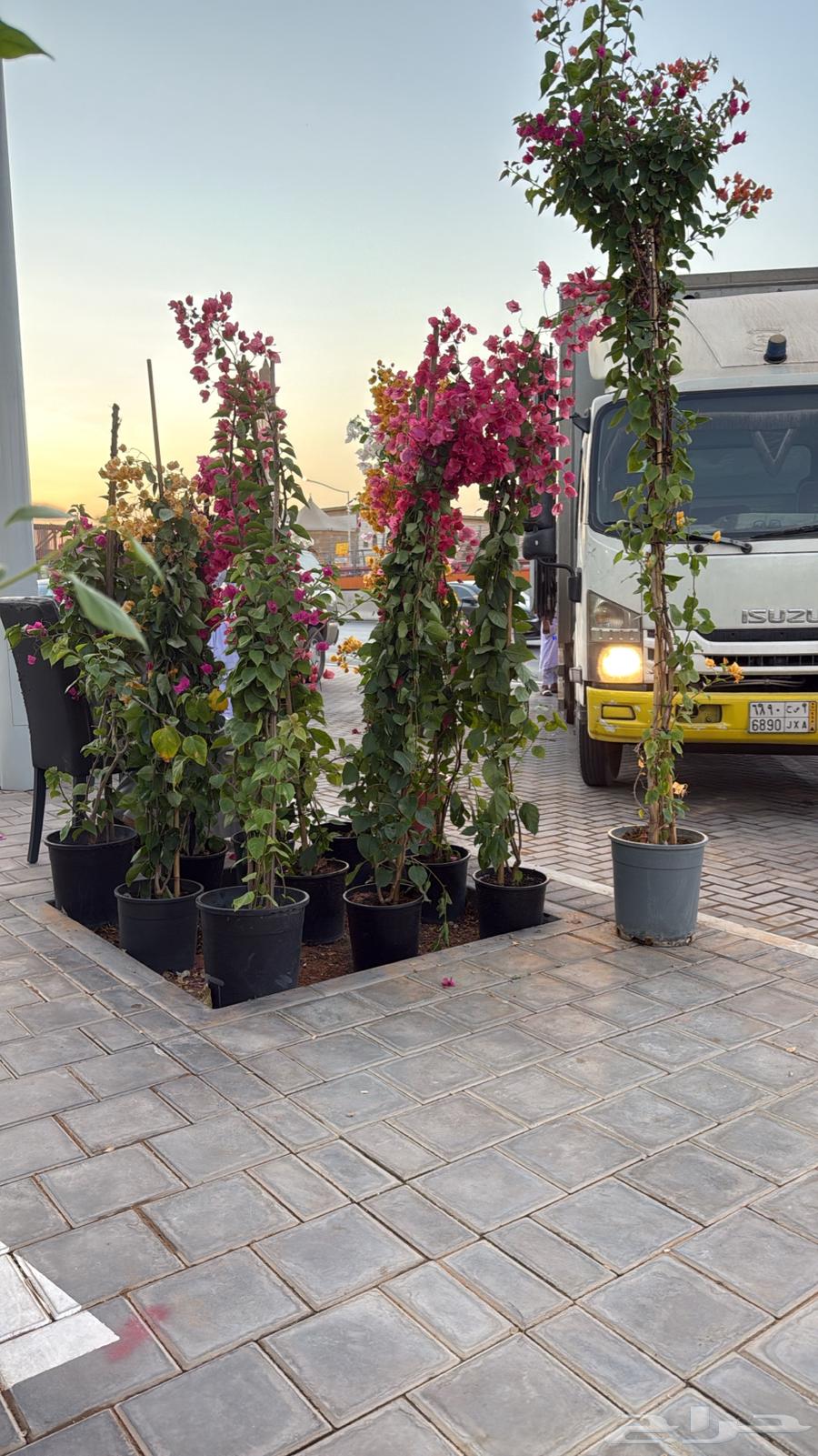 Nursery and landscape design64168681702402111